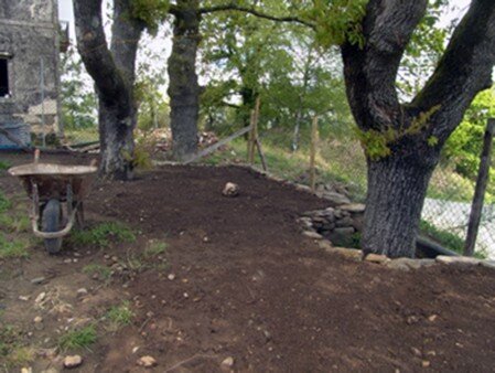 Espacio restaurado bajo los robles